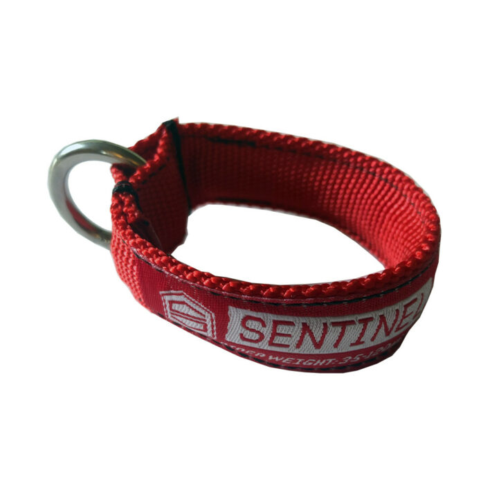 Safety Loop | Sentinel